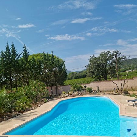 Chambre Face Aux Vignes Vidauban Kültér fotó