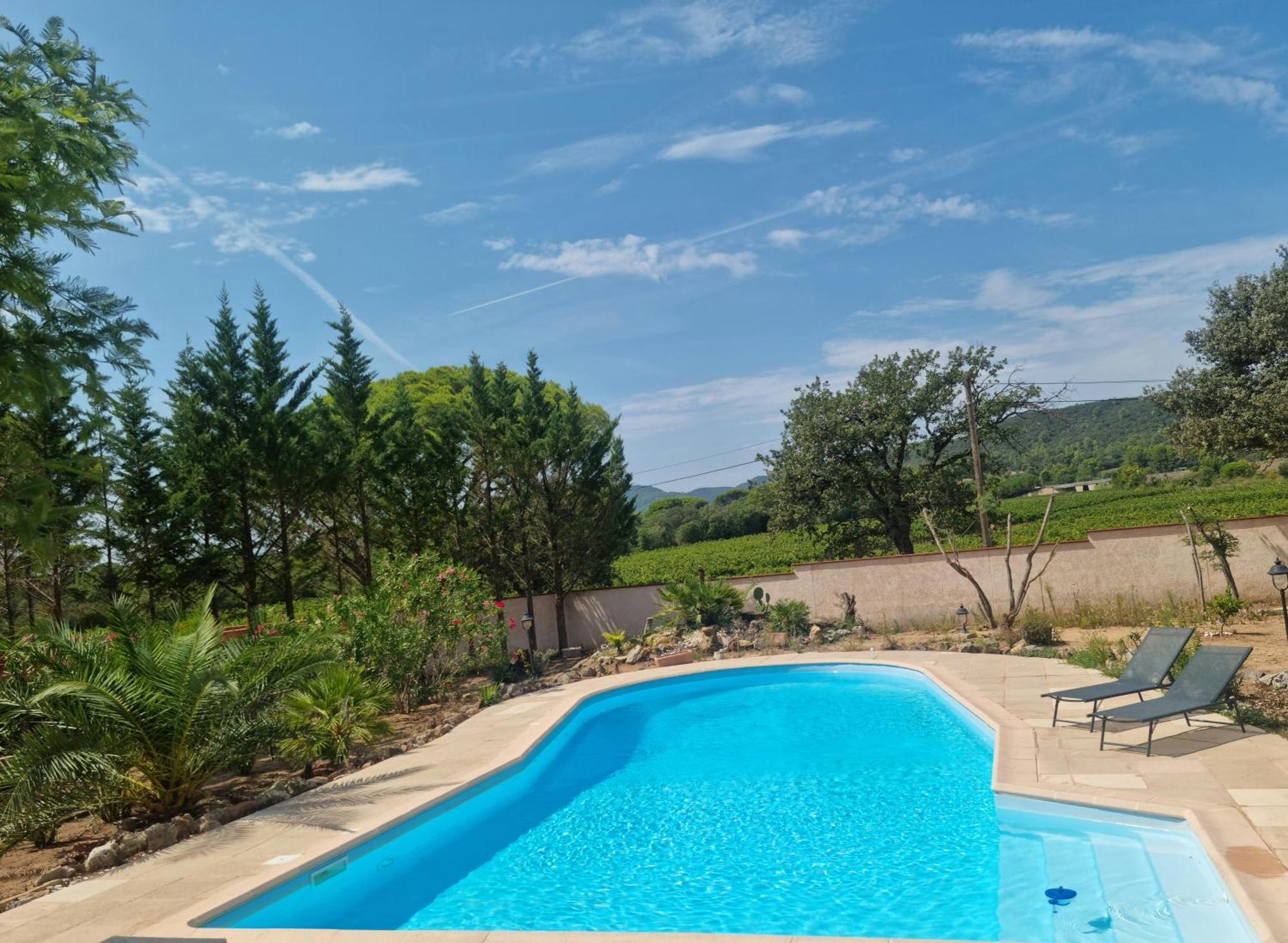 Chambre Face Aux Vignes Vidauban Kültér fotó