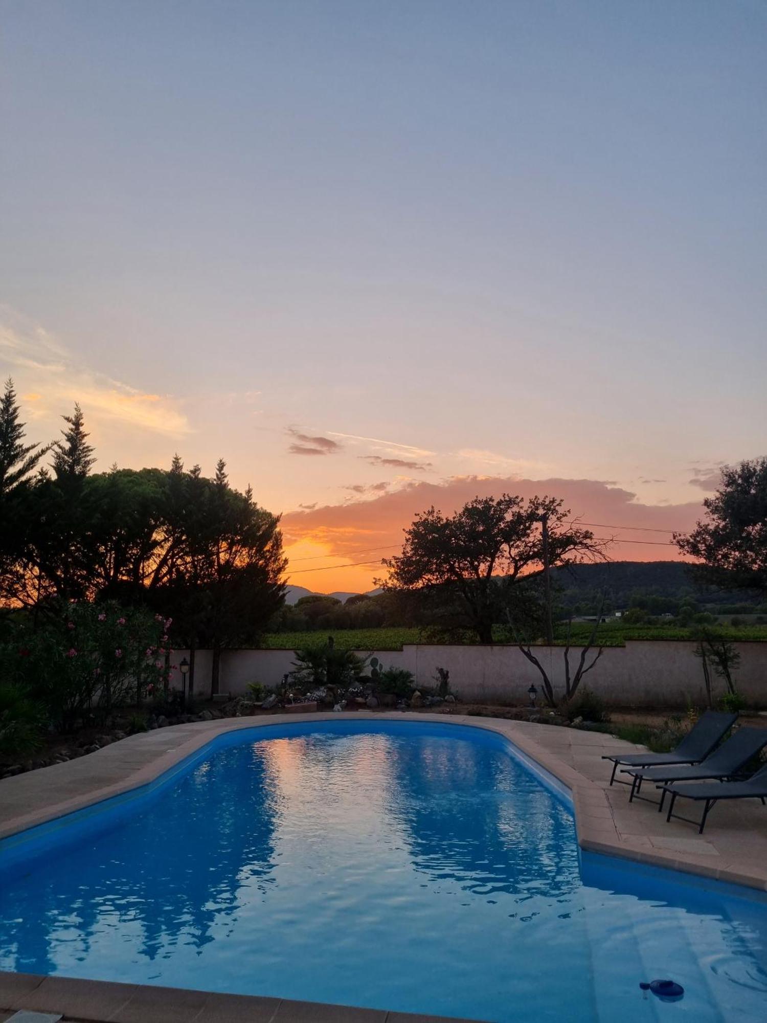 Chambre Face Aux Vignes Vidauban Kültér fotó